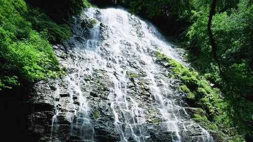 电子高性能